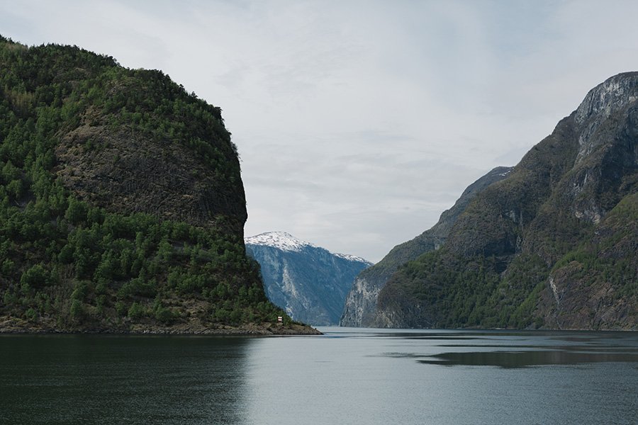 view from a fjord cruise